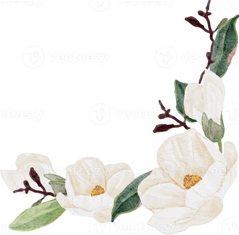 Watercolor White Magnolia Flower And Leaf Bouquet Clipart 18249971 Png