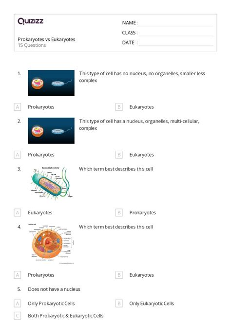 50 Prokaryotes And Eukaryotes Worksheets For 10th Year On Quizizz Free And Printable