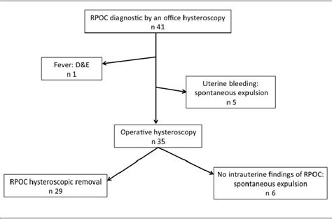 Figure 1 From Delayed Hysteroscopic Removal Of Retained Products Of