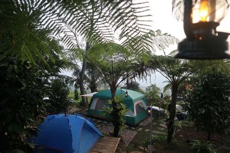 Foto Kemah Di Lembah Pinus Camp Cafe Bogor Lihat Sunrise Dan Air