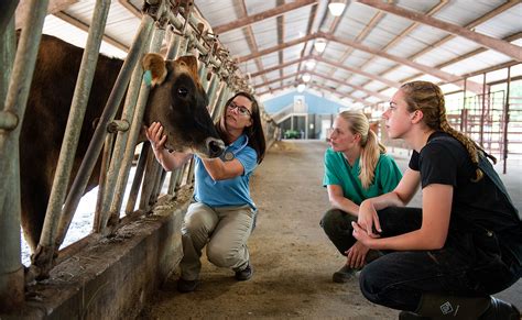 Animal Science Degree: Major or Minor | Berry College