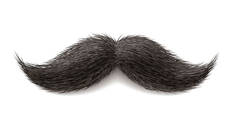 Free Mustache Png, Download Free Mustache Png png images, Free ClipArts on Clipart Library