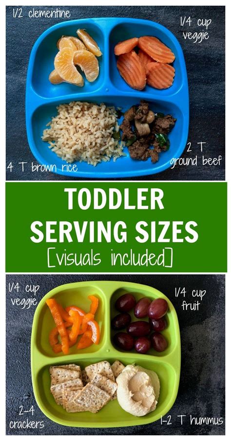 Toddler Serving Sizes Visuals Included Mom To Mom Nutrition Baby