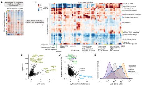 Cell Perturb Seq