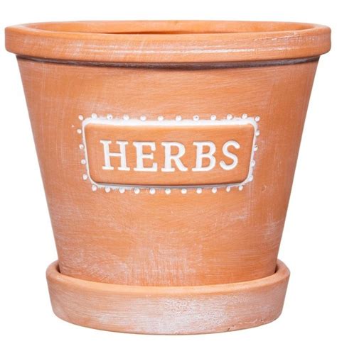 Sass Belle Herbs Terracotta Planter Saucer At Mighty Ape Nz