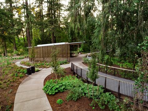 Oregon Botanical Garden Updated By Land Morphology And Olson Kundig