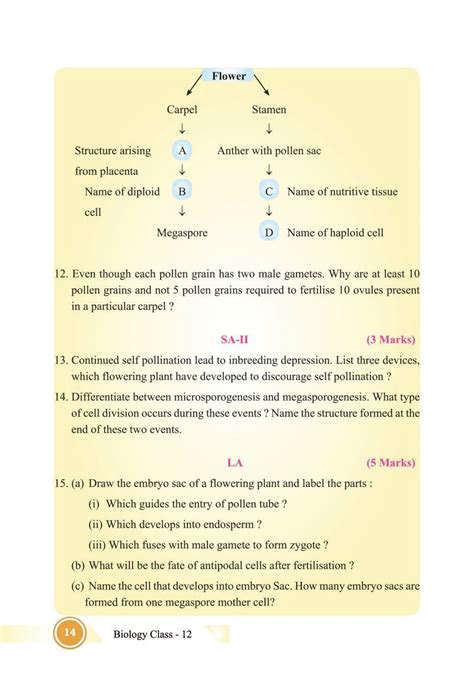 Sexual Reproduction In Flowering Plants Class 12 Notes Pdf पुष्पी