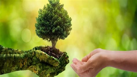 World Environment Day पर्यावरण शुद्ध रखना बड़ी चुनौती जानिए क्यों मनाया जाता है विश्व पर्यावरण