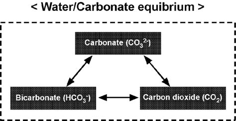 Schematic Representation Of Watercarbonate Equilibrium Download