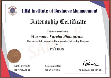 Internship Program in Python | IIBM India