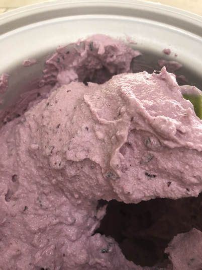 Easy Homemade Blackberry Ice Cream Artofit