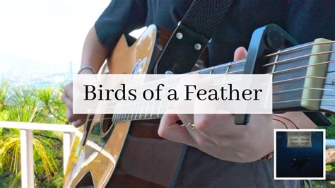 Birds Of A Feather Billie Eilish Fingerstyle Guitar Arrangement