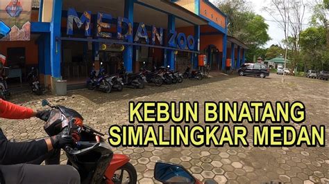 MENUJU KEBUN BINATANG MEDAN SIMALINGKAR YouTube