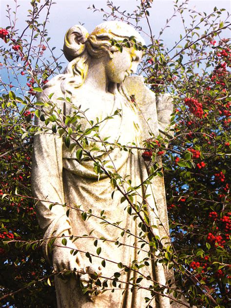 Lady In The Bushes Photograph By Joe Dallmann Fine Art America