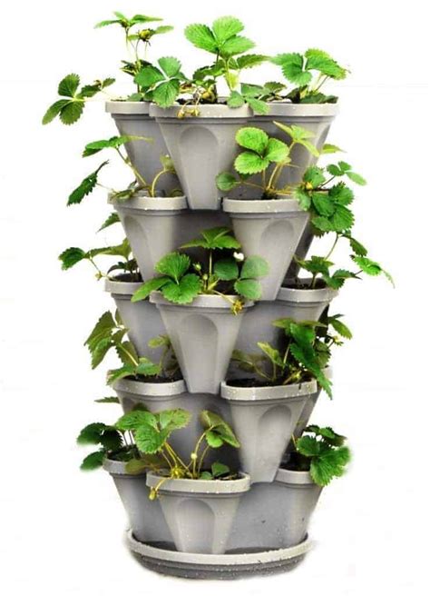 Stackable Strawberry Planter The Handyman S Daughter