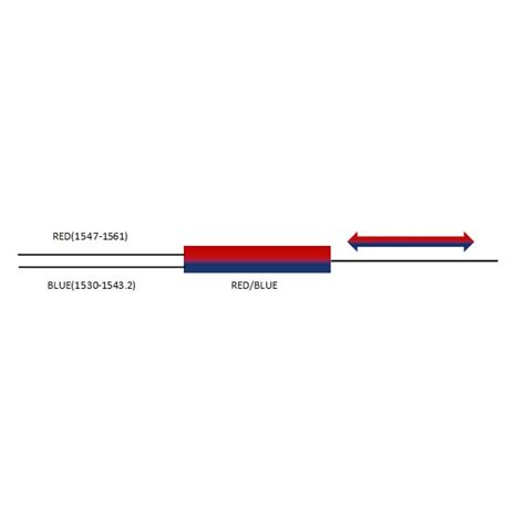 Dwdm Red Blue Filter Ports Wdm Device Oem Odm Manufacturer Hyoptic