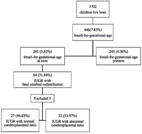 Flowchart Of Intrauterine Growth Restriction Iugr Infants With Fetal