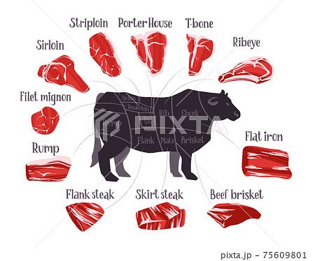 Dsr Cattle Beef Sizes And Cuts