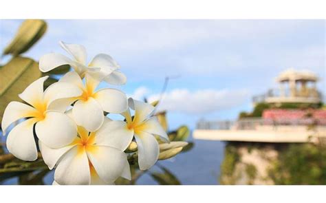 Celebrating, exploring the Chamorro culture of Guam | Stripes Guam