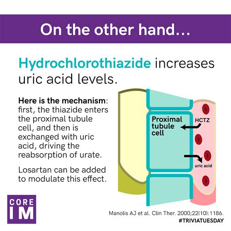 Amino Acids Cause Gout at Regina Bruce blog
