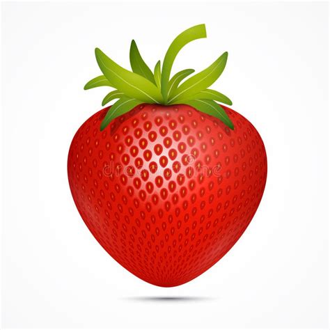 Fresh Strawberry Illustration Stock Vector Illustration Of Healthy