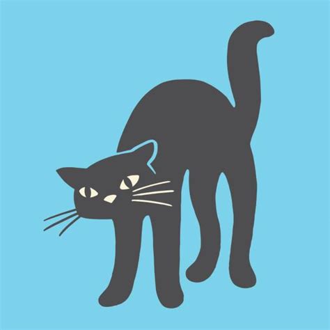 Bad Luck Black Cat Illustrations, Royalty-Free Vector Graphics & Clip ...