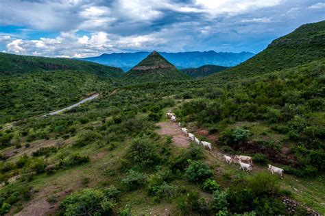 Visit Sonora On Twitter Un Vistazo A La Sierra Alta De Sonora