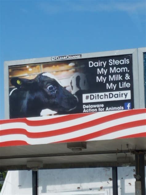 Being Vegan - Home | Facebook