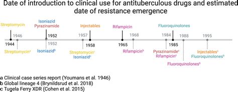 Frontiers Evolution Of Mycobacterium Tuberculosis Drug Resistance In