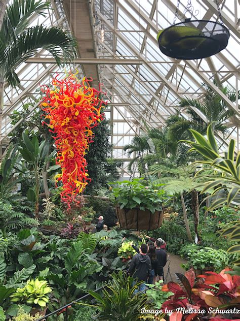 Appreciating Gardens Chihuly Glass Art And Butterflies At Franklin