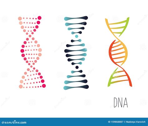 Segno Di Molecola Del DNA Elemento Genetico E Filettatura Di Raccolta