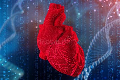 3d Illustration Of Human Heart And Cardiogram On Futuristic Blue