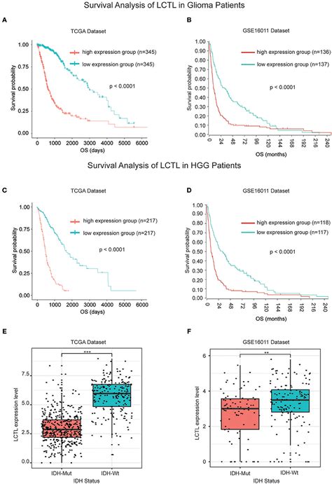 Frontiers Lctl Is A Prognostic Biomarker And Correlates With Stromal