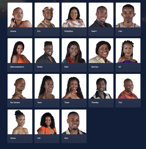 Meet Big Brother Mzansi S Housemates Yomzansi Documenting The Culture