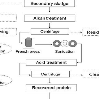 Schematic of protein recovery protocol | Download Scientific Diagram