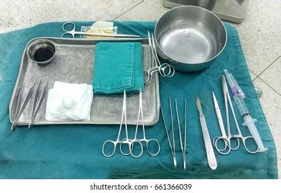 673 Surgical Excision Images, Stock Photos & Vectors | Shutterstock