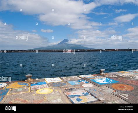 azores faial island horta marina  res stock photography  images