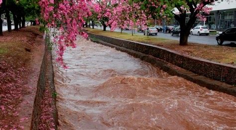 Pancadas Fortes De Chuva Atingem Campo Grande Jornal Do Estado Ms