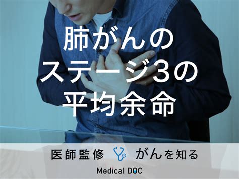 「肺がんステージ3の平均余命」はどれくらい？症状・治療法も解説！【医師監修】 メディカルドック