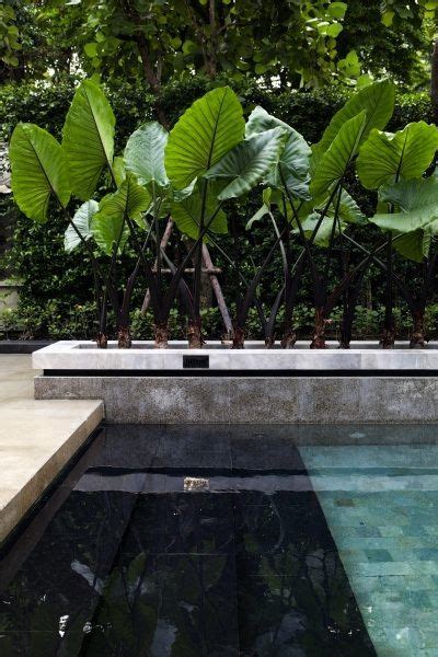 Épinglé par Pinner sur Pinterest with Friends Inspiration Piscine