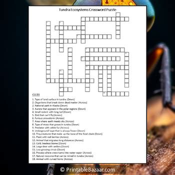 Tundra Ecosystems Crossword Puzzle Worksheet Activity By Crossword Corner