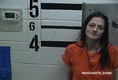 Thompson Janie Larue County Mugshots Zone