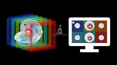 Multifocus Microscopy With Optical Sectioning 2023 Wiley Analytical