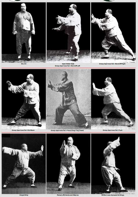 Master Yang Cheng Fu Tai Chi Tai Chi Chuan Tai Chi Qigong