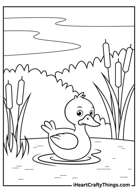 Duck Coloring Pages 100 Free Printables