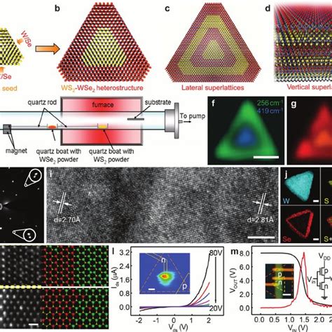 Electronic And Optoelectronic Devices From 2d Tmds A A Schematic