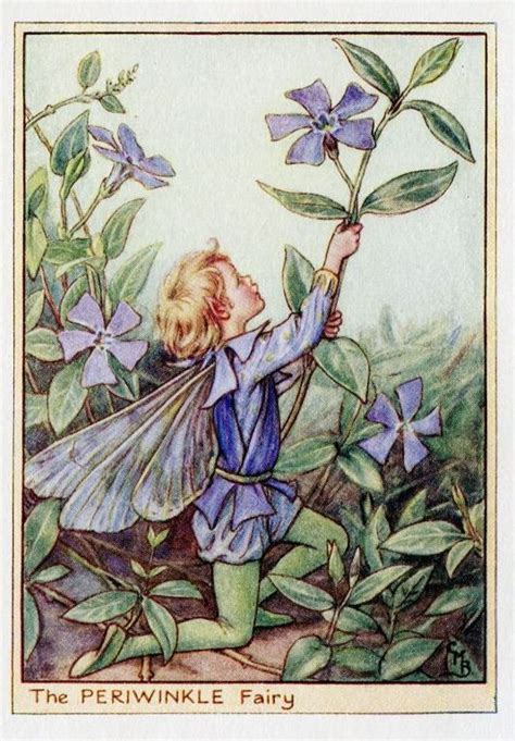 Periwinkle Flower Fairy 1950s Vintage Print Cicely Barker Etsy