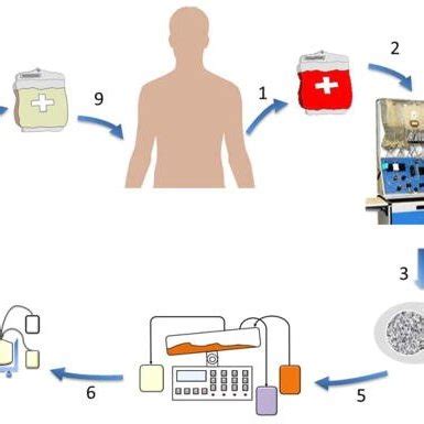 Leukapheresis and enrichment process in 'Engineered T-Cell therapy' for ...