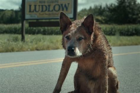 Pet Sematary Bloodlines First Trailer Released For Prequel Movie