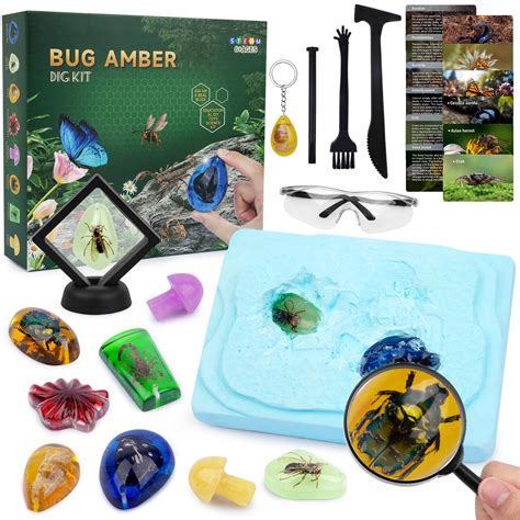 Lsydcarm Amber Dig Kit Insects Specimens Excavation Kit 6 Real Artificial Insects Resin And 2